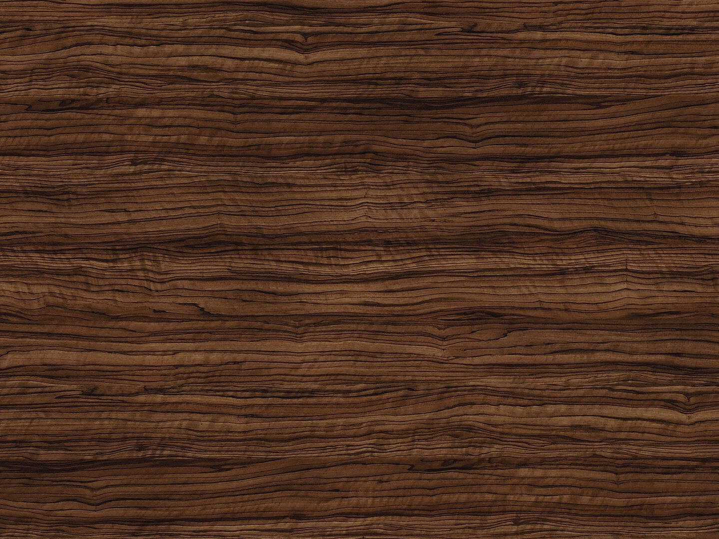 R50031_Olive Espana dunkel_gP.jpg